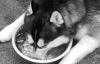 8E00E3A3-3F40-4787-B9B0-D764490EA8B8.gif