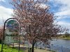 20210325_134601.jpg