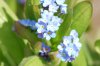 DSC_0003a.JPG