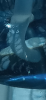 upload_2021-6-16_5-57-22.png