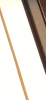 Screenshot_20210621-194242.png