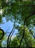 Screenshot_20210621-111918_Gallery.jpg