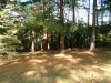 DSCF0721.JPG