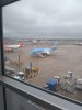IMG_20210625_094322030.jpg