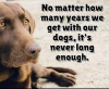 4C129695-7C23-4329-BDD9-CDD361992DA6.png