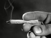 1joint.jpg