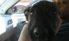 20170618_123350.jpg