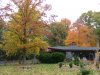 DSCF0813.JPG