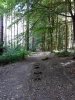 IMG-20180704-WA0001.jpg