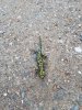 IMG-20190619-WA0007.jpg