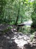 IMG-20190611-WA0003.jpg