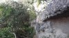 20210808_165407.jpg