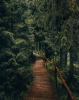 BF6760CC-EA32-47EA-8579-BB929E0DBDAC.png