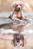1DCD1DB8-5EE5-4AE2-BE9A-53D03F722183.png