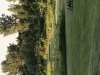 6AA8D308-1BE1-43B9-98B8-DC06C1CF77E2.jpeg