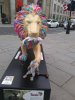 IMG_20210830_183627643.jpg