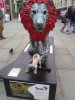 IMG_20210830_184059687.jpg