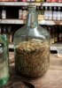 Gusano_de_Maguey_embotella.jpg