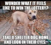 B5E37B96-A91C-41EA-9BD3-87F69D22B3DD.png