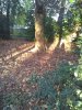 IMG_20211106_155311107.jpg