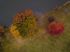 DJI_0016-2.jpg