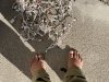 D0005352-432B-4402-93FE-B00E051E3AF2.jpeg