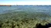 clear bay waters.jpg