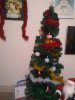 IMG_20211216_170802371.jpg