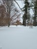 Screenshot_20220129-193433_Gallery.jpg