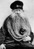 kitten in a beard.jpg