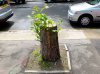 harper_road_london_se1_anna_hillman_amazingness.jpg