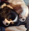 IMG_20220209_083921043~2.jpg
