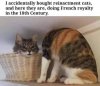 FB_IMG_1648086005332.jpg