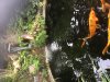 690E00B9-067F-4F63-BEFC-C1EADB58EAE3.jpeg