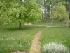 DSCF0029_zps436ee4db.jpg