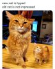 B4566019-63C6-40EE-A2E7-D36967721963.jpeg