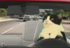 87A2D0F3-DB6C-4F68-BBA1-FE9F93B3707C.gif