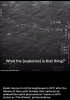 BC5419C4-8A5B-4680-BB07-5E390AD94C53.jpeg