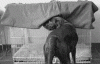 994B6743-8065-46DE-B90E-98286112C757.gif