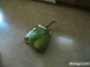 5AF078E1-1A7F-4268-94B9-C6229EF30424.gif