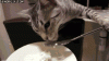 43968804-5B7A-47A3-BE92-524047E6CFF8.gif