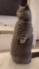 84F184DF-CE95-4602-9D4C-DCF8574F5B41.gif