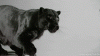 upload_2022-4-13_18-15-26.gif