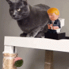 upload_2022-4-21_12-25-34.gif