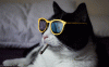 315D29C5-8417-48CA-B413-571627CBC92B.gif