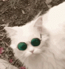 AFA6AC17-2366-4903-90B6-ECBCDE62702E.gif