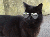 EF5AEDDB-A978-484D-9143-0AABBE671479.gif