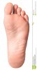 isolated-foot-photo-healthy-female-sole-36020398.jpg