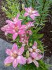 PXL_20220629_022843935.jpg