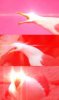 upload_2022-7-9_19-29-54.jpeg